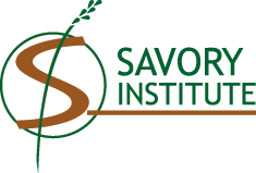 savory-logo-color